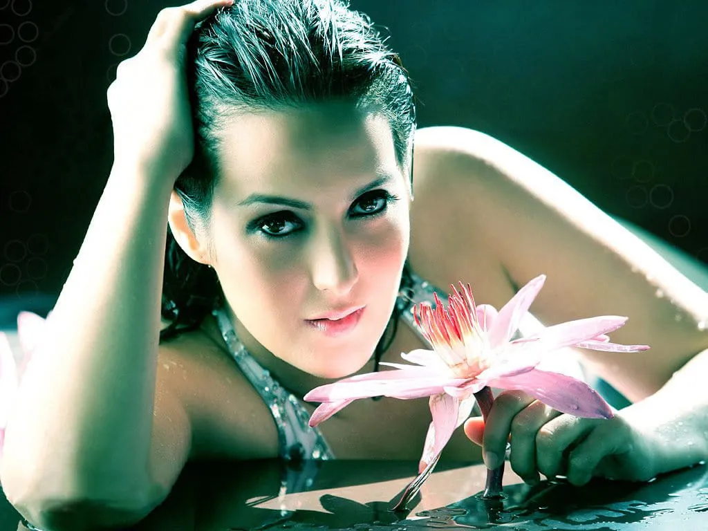 tulip joshi hd wallpaper